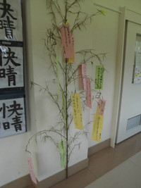 Cimg8480